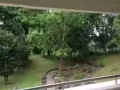 两间普通房BLK203 Petir Road武吉班让。$600水电网全包，可以煮