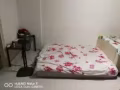 課廳大床位出租