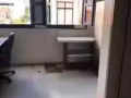 如切一居室出租 独立一室一厅