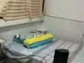 義順大牌232小夫妻間500