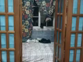 普通房、大陽台出租