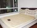 [出租] 超美超大湖畔mrt 3mins 公寓主人房和普通房出租 - 性價比高