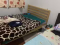 找个男士合租