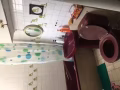 璧山靠近MRT！男女搭房！隨時看房！