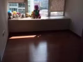普通房