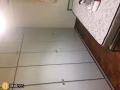 大巴窑七巷普通房出租