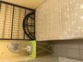 新加坡屋主储藏室出租可两人合租【可报制造业本屋地址】