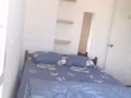 大巴窑公寓大普通房出租