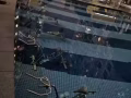 榜鹅地铁站旁豪华公寓主人间，即刻入住！