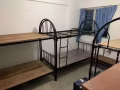 后港3道大牌2号男搭房出租本屋地址