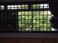 兀兰大牌868 跃层 超大房出租 (无中介）