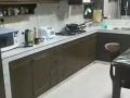 普通房出租