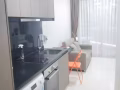 Kaplan/NAFA/SMU Wilkie road 市中心豪华公寓主人房出租