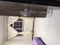 盛港西單間出租