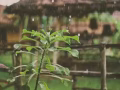 近美世界地铁站公寓超大主人房低价出租