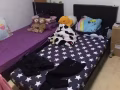 金文泰—床位出租