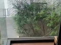 房屋出租