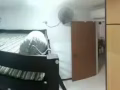 招女房客 - 義順/卡迪 HDB普通房 650 一人 無中介 合法 簽約 報地址