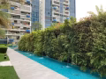 tampines studio for rent 淡濱尼 studio 出租
