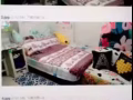 短期租房即日起到31/8便宜好房