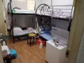 麥波申招一位女搭房，人少乾淨，本屋地址，製造業勿擾