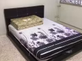 全屋都是女生，人少还安静干净！！