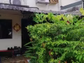 ♦♦♦近實龍崗有一大房間出租（私人排屋），院內可停車，
