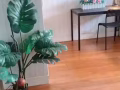 無屋主 可大煮 市中心 烏節路 索美賽 克拉碼頭 多美歌  普通房2間