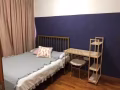 芽龙2+1公寓普通房从新出租