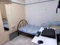 巴西立大牌446租450元