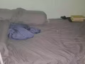 Looking for Male Bed sharing 