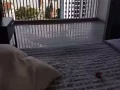免押進行中！！！阿裕尼性價比超高學區普通房大促銷，隨時入住，心動不如行動！