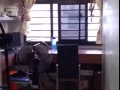 油池地鐵站附近招租男搭房