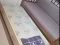 Common bedroom 