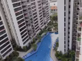 榜鹅公寓大单间出租无中介