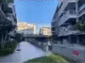 實龍崗Residences Botanique 主人房 普通房出租