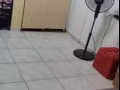 波那维斯达搭房