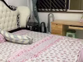 大巴窯普通房出租