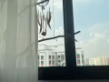 sembawang房间出租 7月1-7月中入住