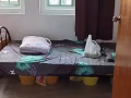 床位出租
