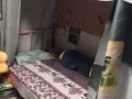 招男，女，多個床位，馬林百列
