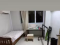 荷蘭村大牌11號