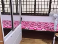 1分钟到海军部地铁站有女搭房出租。请电：91505796。