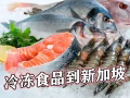 冷凍食品可以拼箱海運到新加坡嗎