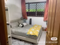 武吉班让Bukit Panjang Petir Road 普通房出租