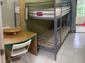 烏節路和索美塞有男女床位出租