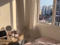 波動巴西全女生普通房