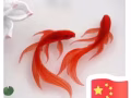牛車水單間出租
