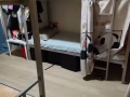 裕廊西 大牌501  男女床位出租 可報本屋地址 還有一個單間 可做二人間 可水電網全包 可煮 新拿的房子 可報本屋地