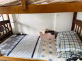 後港招女生